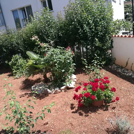 Apartment Bozena 2